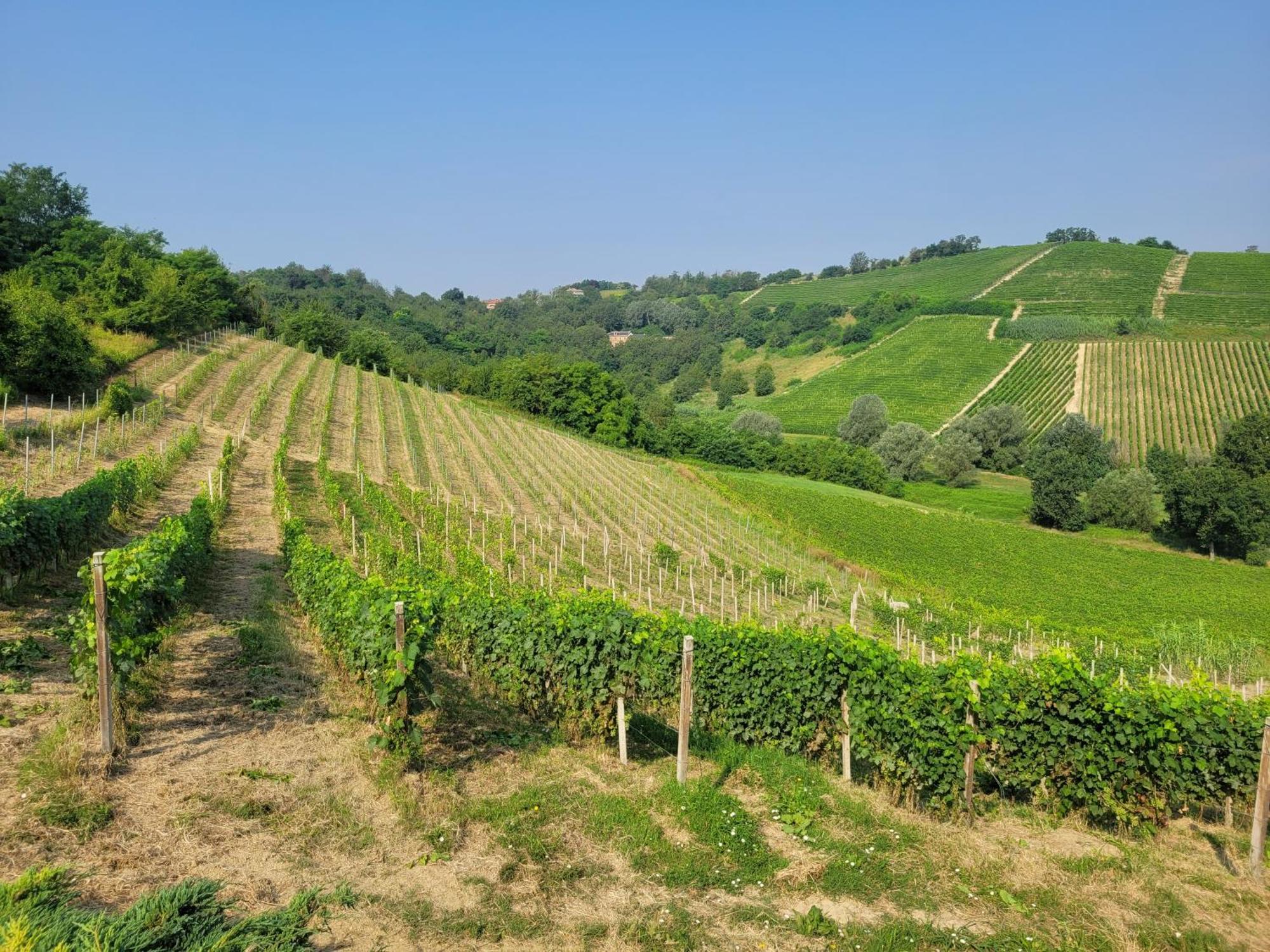 Cascina Allegria Castelnuovo  Luaran gambar